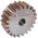 4.0 MODULE<BR>GEAR